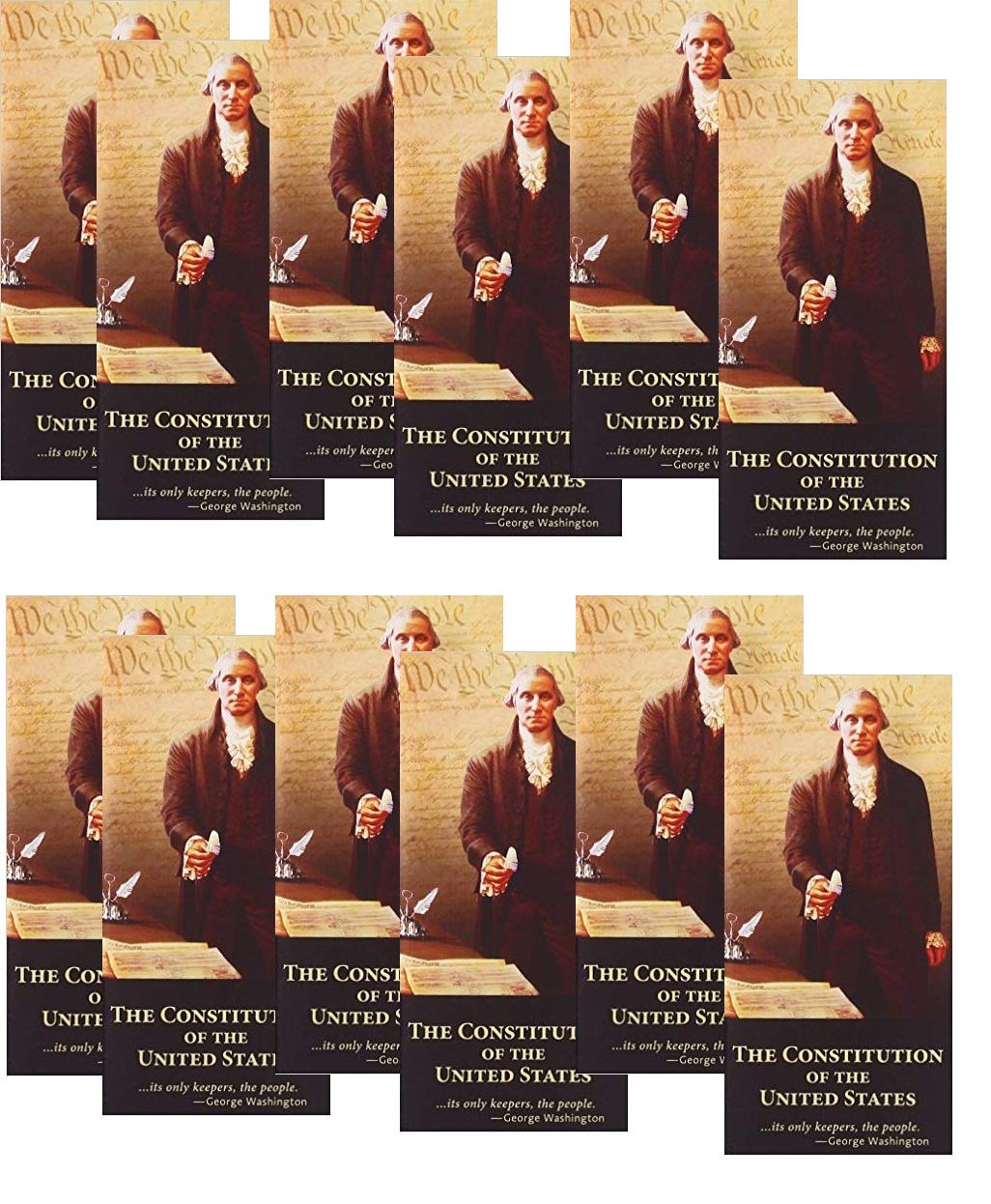 Pocket Constitution